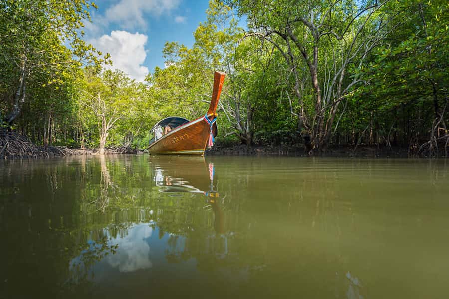 Ko Lanta: Mangrove Forest Boat Tour with Lunch or Dinner - The longtail boat ride: mangrove channels, wildlife patterns, and the guide’s role