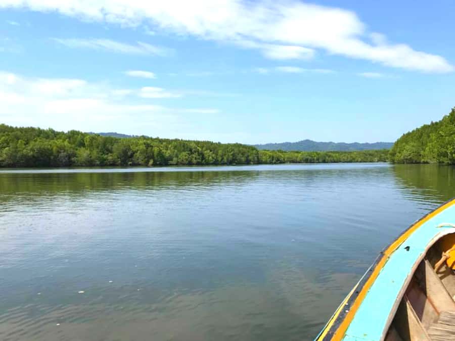 Ko Lanta: Mangrove Forest Boat Tour with Lunch or Dinner - Price and value: $35 plus a 40 Bath entrance fee
