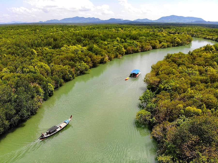 Ko Lanta: Mangrove Forest Boat Tour with Lunch or Dinner - Getting picked up at the right time, then finding Tungyeepeng pier