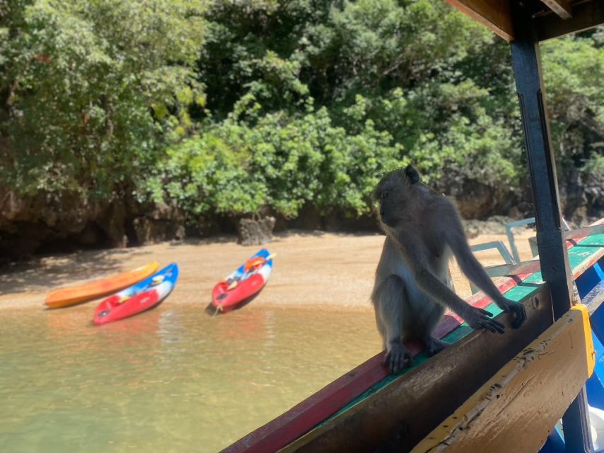 Ko Lanta: Mangrove Kayaking, Ko Talabeng, & Skull Island - Key things I’d circle before you book