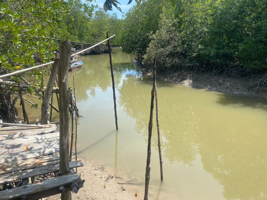 Ko Lanta: Mangrove Kayaking, Ko Talabeng, & Skull Island - More paddling, more swims: pristine beaches and photo stops