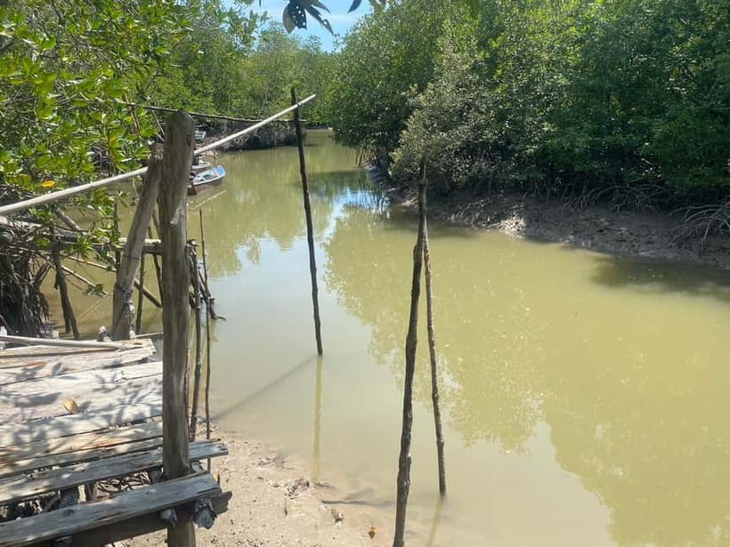 Ko Lanta: Mangrove Kayaking, Ko Talabeng, & Skull Island - The hidden sea cave: stalactites and stalagmites on the water