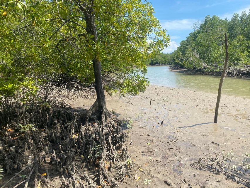 Ko Lanta: Mangrove Kayaking, Ko Talabeng, & Skull Island - Guides and group vibe: why this feels more local than big-tour