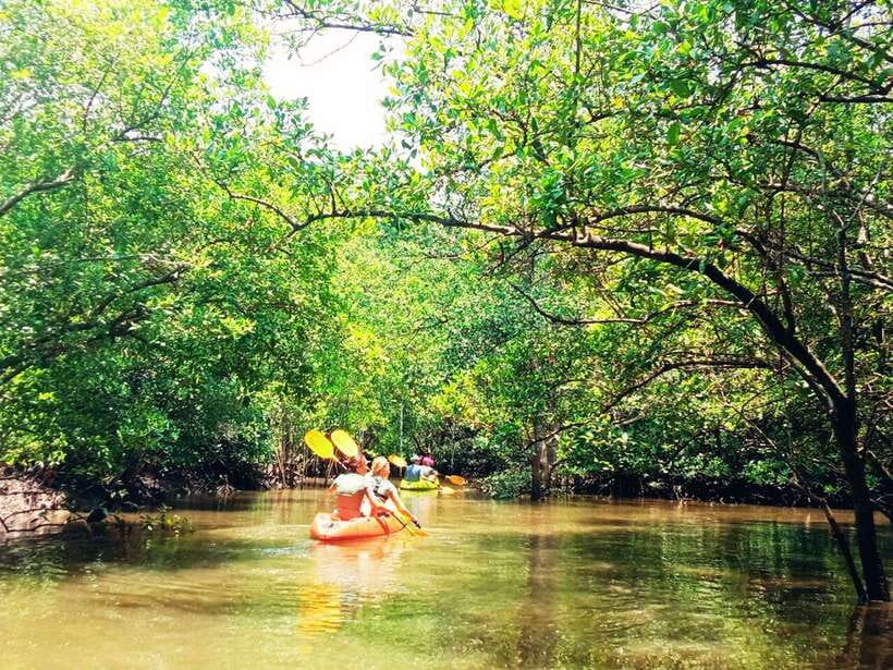 Ko Lanta: Mangrove Kayaking with Lunch and Hotel Transfer - Key things to know before you go