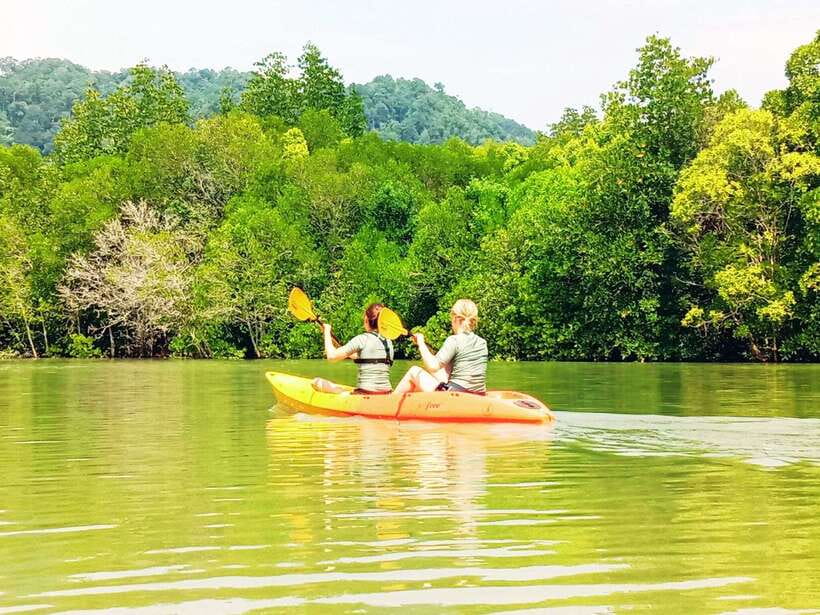 Ko Lanta: Mangrove Kayaking with Lunch and Hotel Transfer - At the pier: jungle walk before you even sit in the kayak