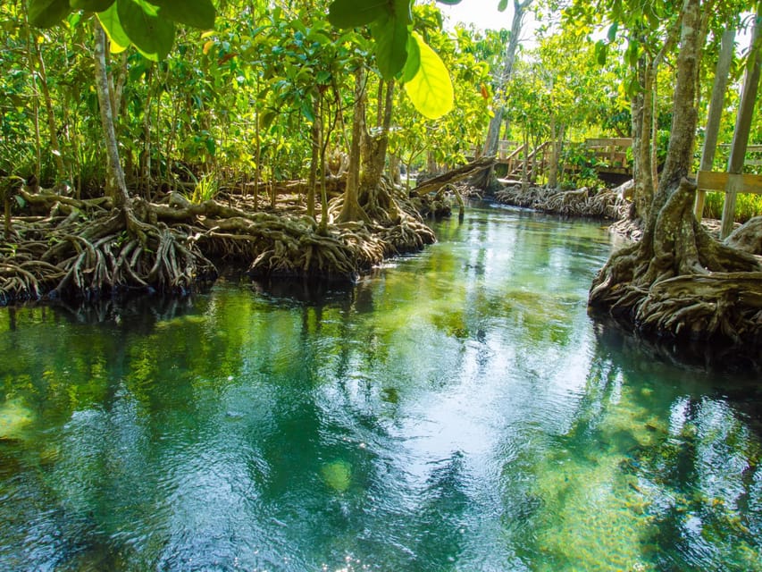 Ko Lanta: Private Exploration– Mangroves, Old Town & Beaches - Kantiang Bay as the calm finale for sun and a slower swim