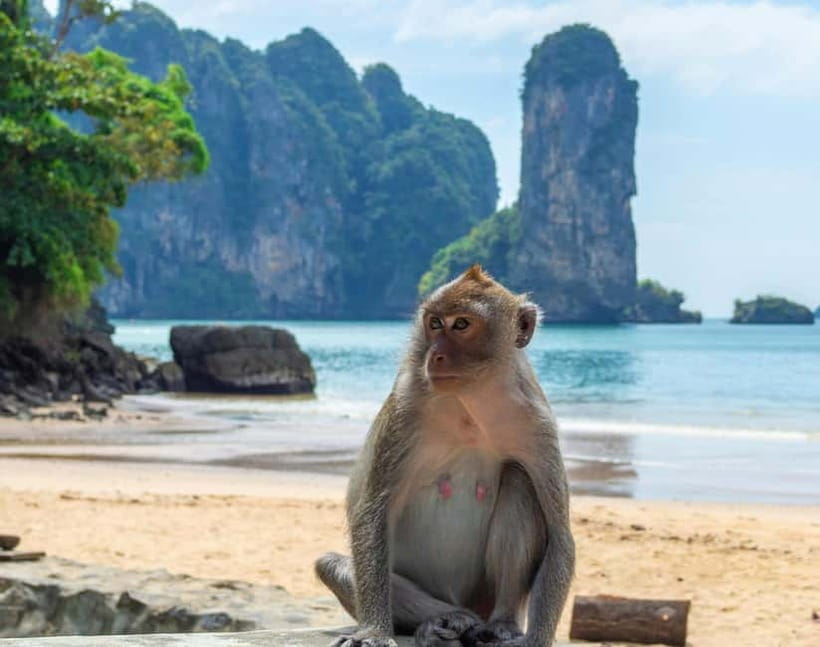Ko Lanta: Private Exploration– Mangroves, Old Town & Beaches - Private group perks, and why the driver behavior matters