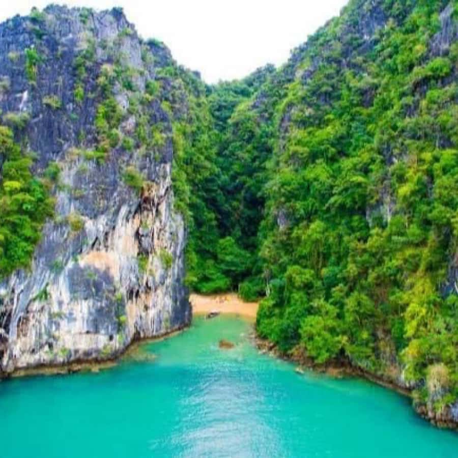 Ko Lanta: Sea Cave Kayaking Adventure Mangrove with Lunch - Who This Tour Fits Best, and Who Should Skip It