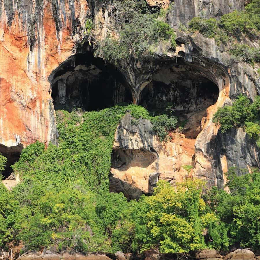 Ko Lanta: Sea Cave Kayaking Adventure Mangrove with Lunch - Hotel Pickup to Tung Yee Peng Pier, Plus the Mangrove Monkey Moment
