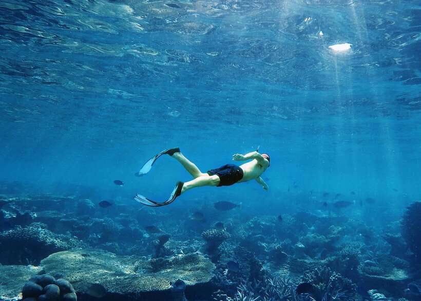 Ko Lanta: Snorkeling Adventure Tour to Koh Rok and Koh Haa - Koh Rok snorkeling: reef time with a real beach lunch built in