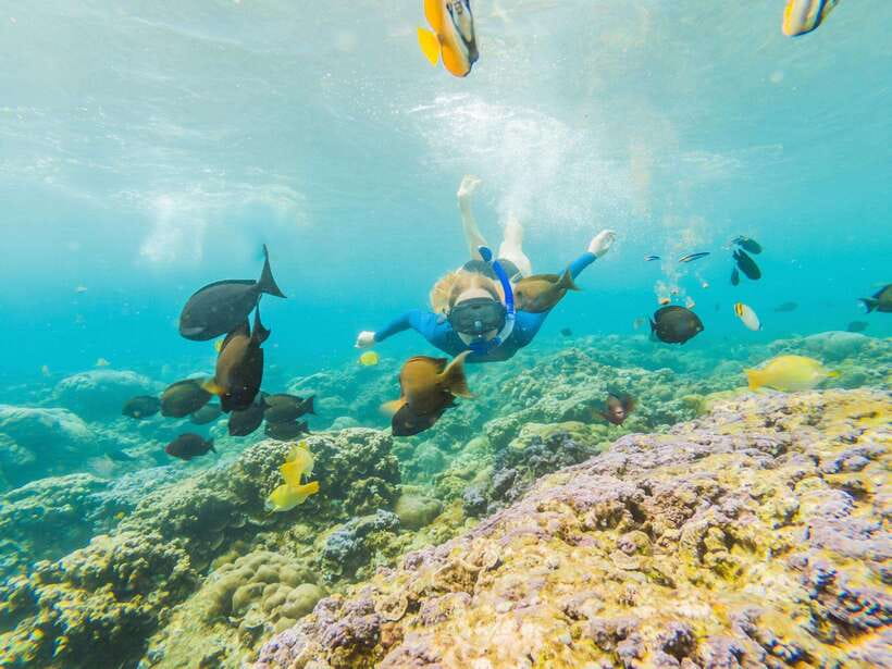 Ko Lanta: Snorkeling Adventure Tour to Koh Rok and Koh Haa - What’s included for $52, and how the value really plays out