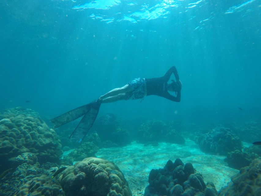 Ko Lipe: Outside Zone Snorkeling Trip by Longtail Boat - Key Things I’d Plan Around
