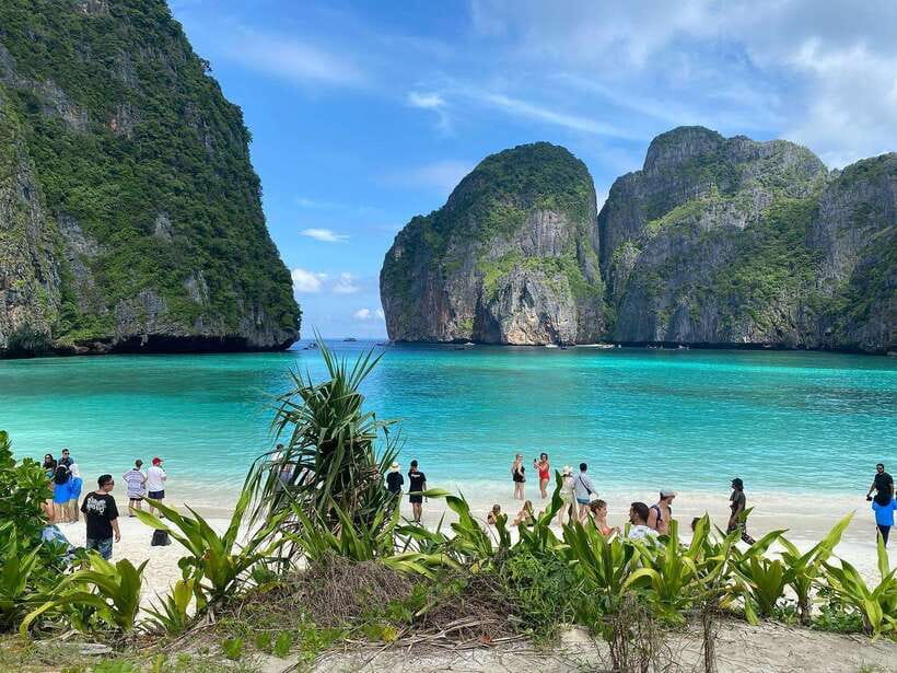 Ko Phi Phi Don: Speedboat Day Trip with Shark Snorkeling - Snorkeling for Reef Sharks and Sea Turtles: What You Can Expect