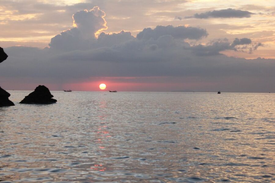 Ko Phi Phi Don: Speedboat Day Trip with Shark Snorkeling - Viking Cave: Cave Views, Swim Time, and Wildlife Chances