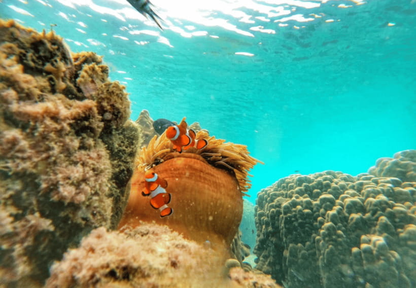 Ko Samet: 5 or 6 Islands Snorkeling Tour with Lunch Option - Koh Khame and Koh Krawai: the sea split moment that frames the day
