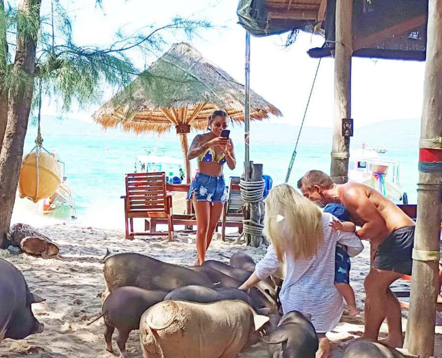 Ko Samui: Pig Island Snorkeling and Koh Tan Speedboat Tour - Transfer time, harbor waiting, and why the afternoon can feel better