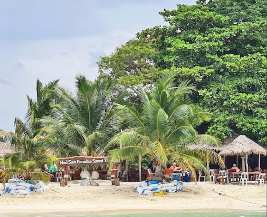 Ko Samui: Pig Island Snorkeling and Koh Tan Speedboat Tour - Price and value: is $51 a good deal?