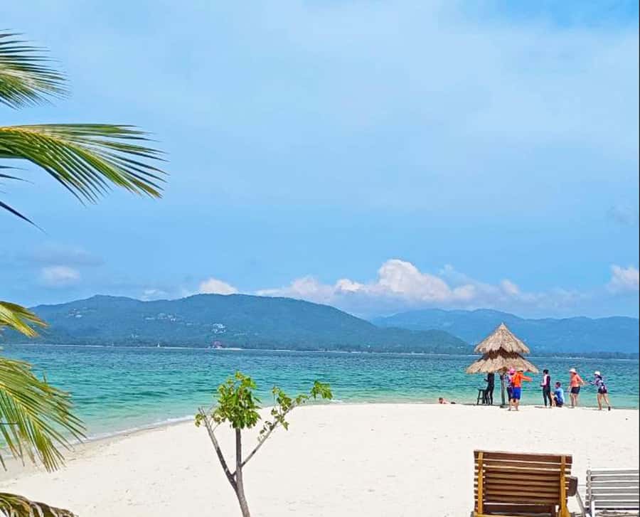 Ko Samui: Pig Island Snorkeling and Koh Tan Speedboat Tour - Tips for a smoother day, and how to help protect the island