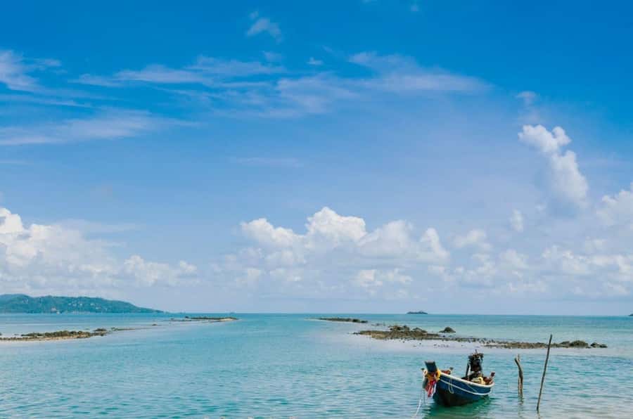 Ko Samui: Private Longtail Boat Tour to Koh Madsum & Koh Tan - Key highlights before you go