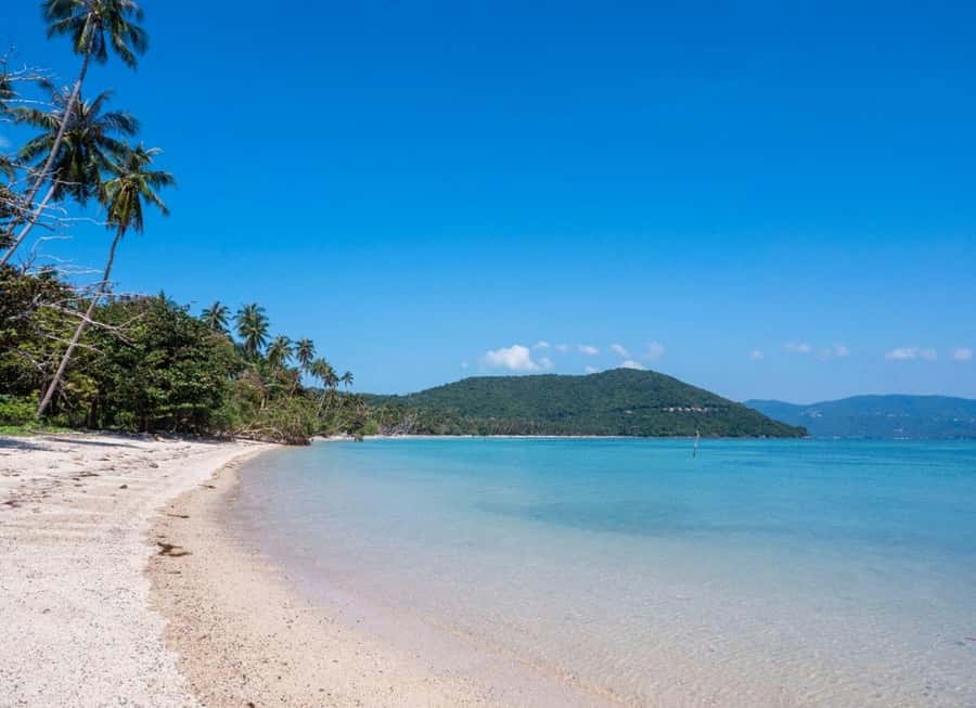 Ko Samui: Private Longtail Boat Tour to Koh Madsum & Koh Tan - Why Pig Island and Koh Tan are a smart combo