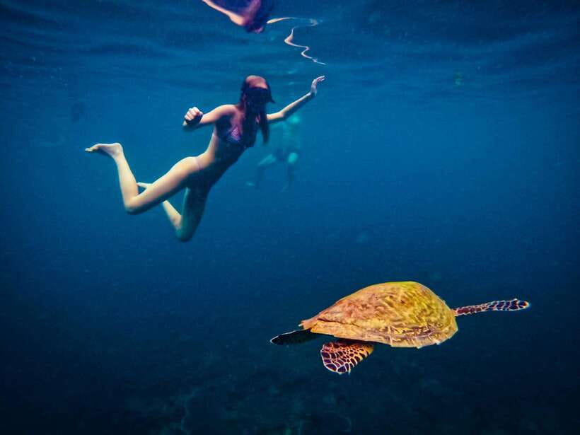 Ko Tao: Late Riser Snorkeling Tour with Lunch and Photos - Bring the right gear, or you’ll pay for it with sun