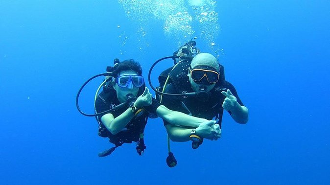 Koh Chang Dive Trip Including 3 Dives (Start at Koh Chang) - Key highlights before you book