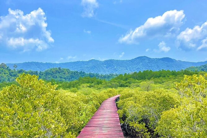 Koh Chang Explorer (joined) - Stop 3: Salak Khok Mangrove Boat Ride