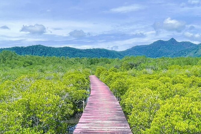 Koh Chang Explorer (joined) - Stop 4: Wat Salak Phet Temple, the Colorful One