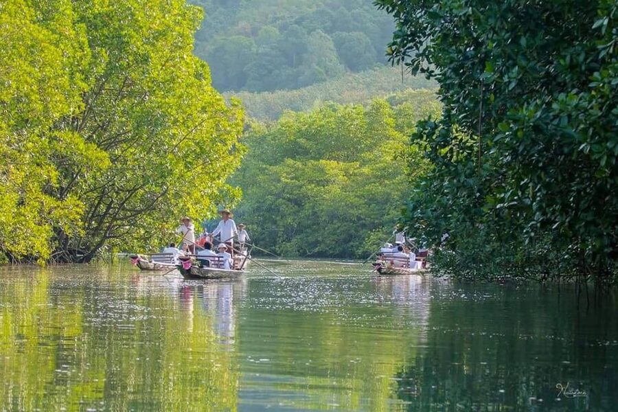 Koh Chang: Mangrove Forest Gondola Tour - What Happens During the Gondola Route on the Water