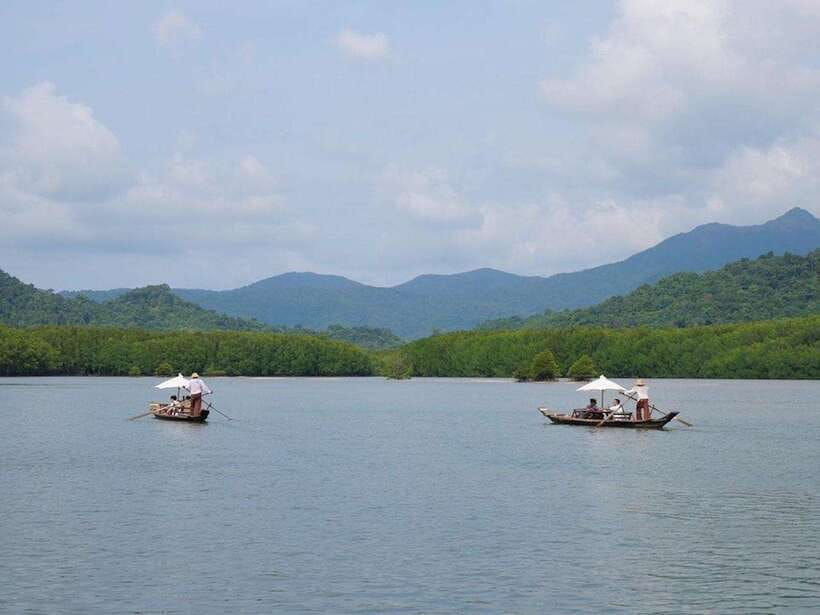 Koh Chang: Mangrove Forest Gondola Tour - Weather Reality in Trat Province, and How Rain Works