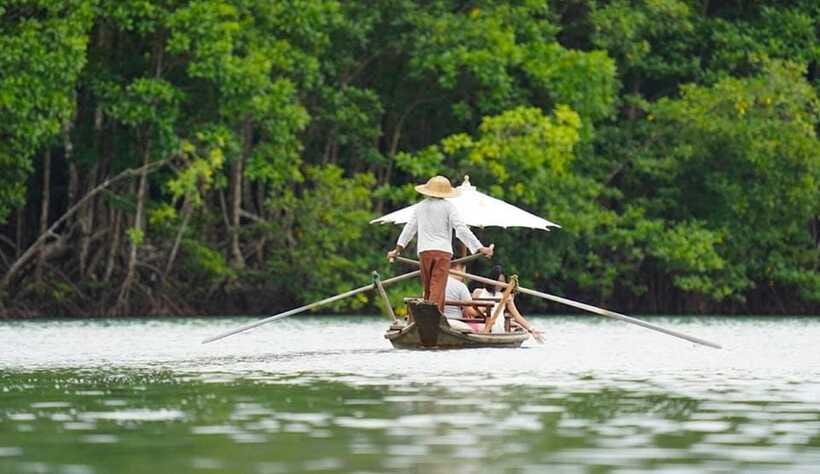 Koh Chang: Mangrove Forest Gondola Tour - Who Should Book This Gondola Tour, and Who Should Skip It