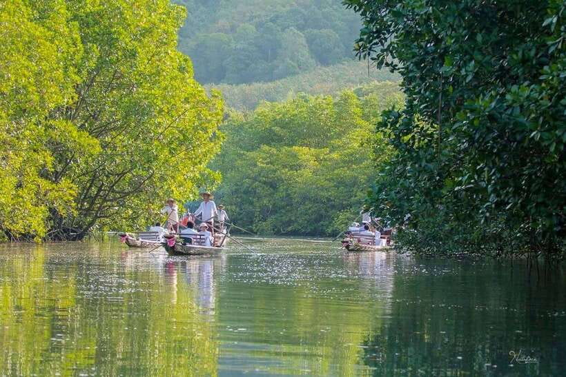 Koh Chang: Mangrove Forest Gondola Tour - Your 40-Minute Private Gondola Ride, Paddle Powered and Quiet