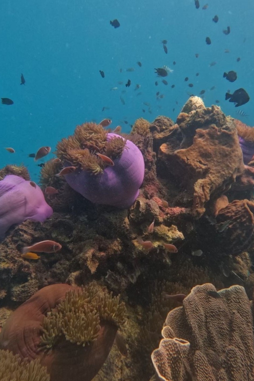 Koh Kood: Snorkeling Speedboat Tour with Lunch and Transfer - Speedboat comfort, fuel smell, and the reality of trash