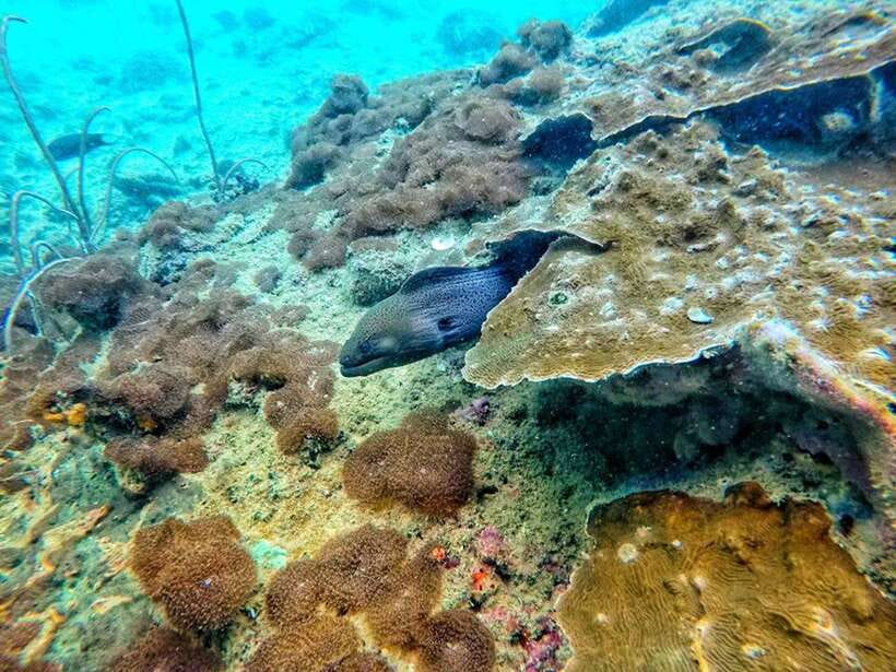 Koh Lanta: 4 Islands and Emerald Cave Snorkeling Trip - Guide quality: what “good” feels like on this day