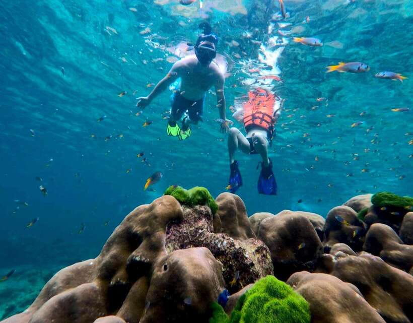 Koh Lanta: 4 Islands, Emerald Cave & Koh Kradan by Speedboat - Speedboat day trip value: what $51 gets you
