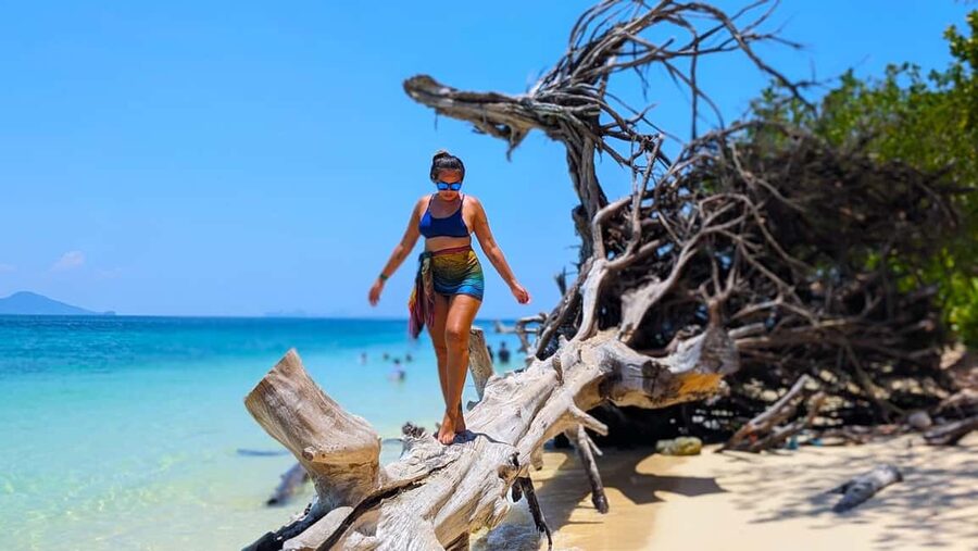 Koh Lanta: 4 Islands, Emerald Cave & Koh Kradan by Speedboat - Stop 2 snorkeling: Koh Ngai reefs and flexible beach time