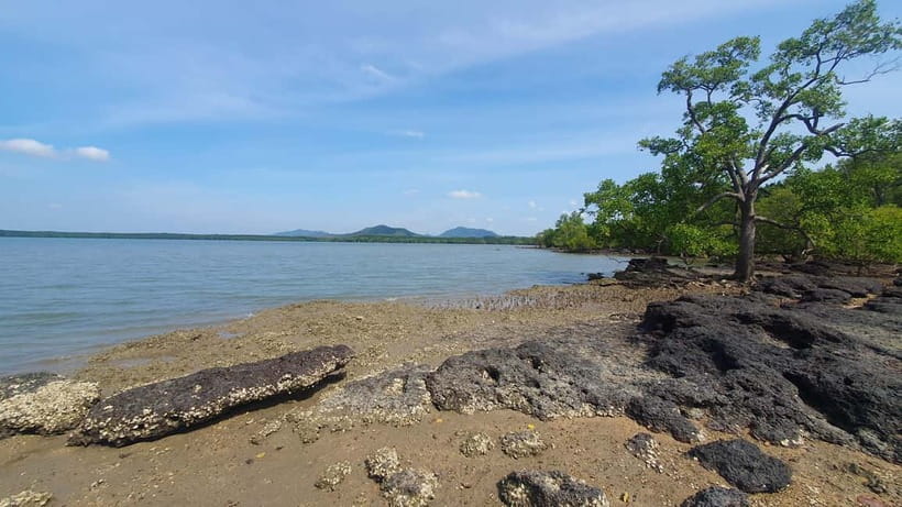 Koh Lanta Cultural Tuk-Tuk Tour: Old Town, Batik & Mangroves - Who should book this Koh Lanta tuk-tuk cultural tour