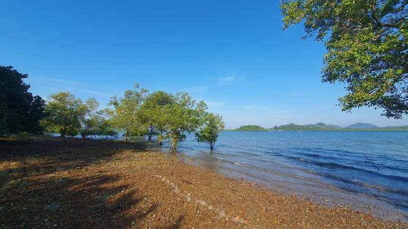 Koh Lanta Cultural Tuk-Tuk Tour: Old Town, Batik & Mangroves - Choosing the right length: 3 hours for the highlights, 6 hours for hands-on batik