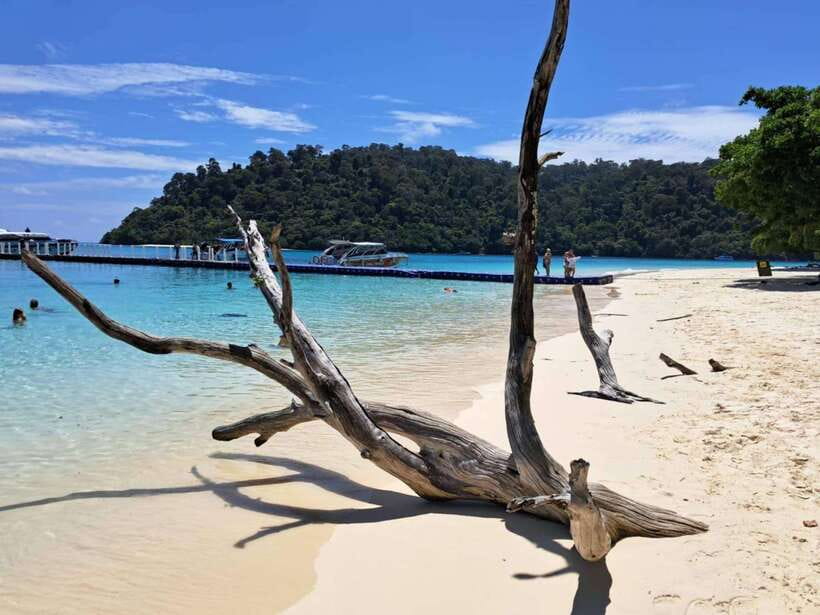 Koh Lanta: Koh Rok and Koh Haa Snorkeling Adventure - Price and what $54 covers on Koh Lanta