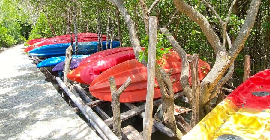 Koh Lanta:Mangrove + Elephant Camp Half Day Tour - Why This Half-Day Works for Most Schedules