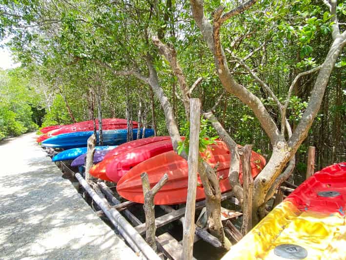 Koh Lanta:Mangrove + Elephant Camp Half Day Tour - Thung Yee Peng Village Start, Plus the 40 Baht Mangrove Entry
