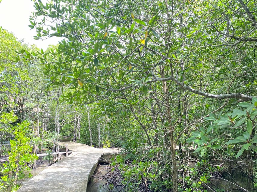 Koh Lanta:Mangrove + Elephant Camp Half Day Tour - Tum Mai Kaew Elephant Camp: Feeding, Names, and Photo Time