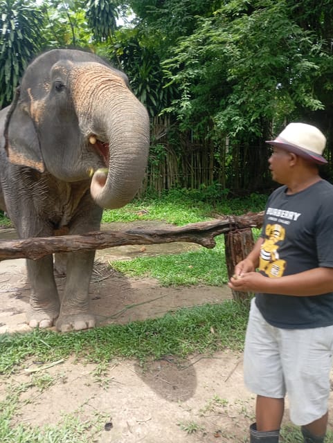 Koh Lanta:Mangrove + Elephant Camp Half Day Tour - FAQ