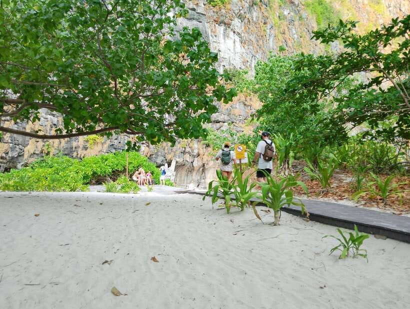 Koh Lanta: Tin's Speedboat Odyssey to Bamboo Island & Beyond - Monkey Viewing on the Route: Monkey Beach Is Tide-Dependent