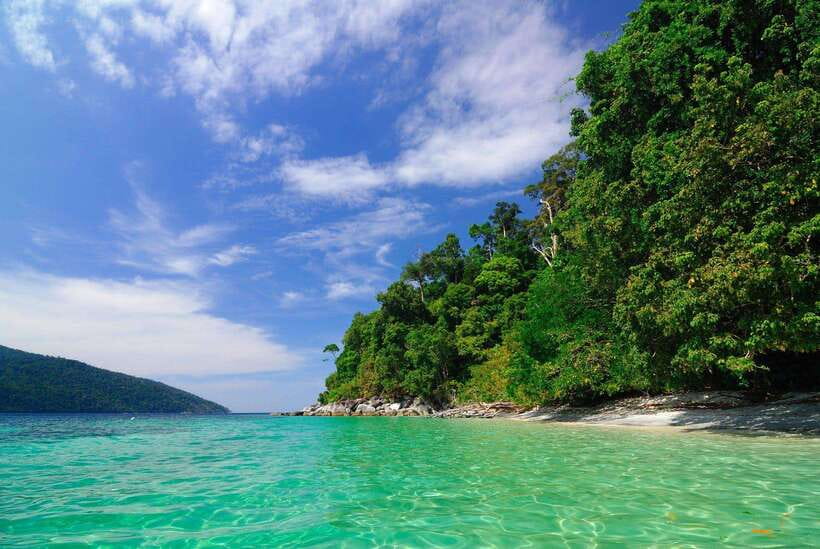 Koh Lipe: 5 Island Snorkeling Trip by Longtail Boat w/ Lunch - Koh Yang hard-coral reef snorkeling in the shallows