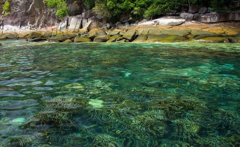 Koh Lipe: 5 Island Snorkeling Trip by Longtail Boat w/ Lunch - Koh Rawi lunch on white sand, and how to use the break well