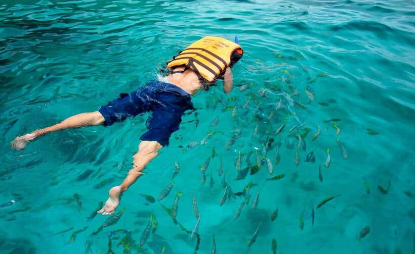 Koh Lipe: 5 Island Snorkeling Trip by Longtail Boat w/ Lunch - Snorkeling success tips for this specific route