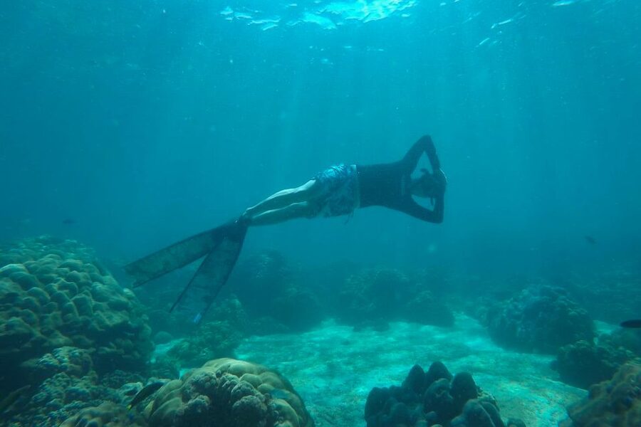 Koh Lipe: Full Day Multi-Island Snorkeling Trip with Lunch - Getting to the boat: where to check in without wasting time