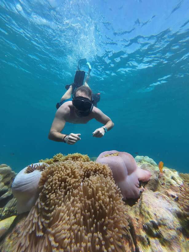 Koh Lipe: Half-Day Snorkeling (Morning/Afternoon/Sunset) - Meeting at Wichit Tour Koh Lipe and How the Timing Really Works