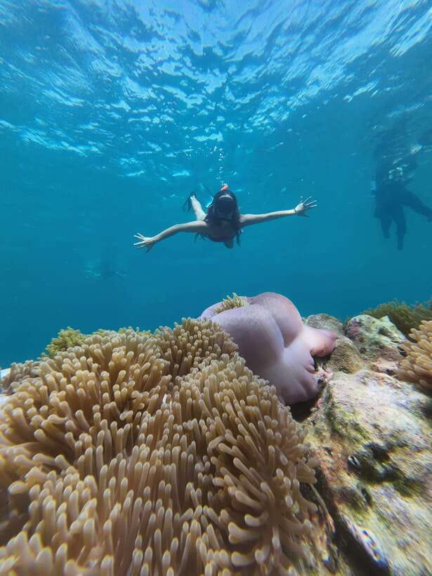 Koh Lipe: Half-Day Snorkeling (Morning/Afternoon/Sunset) - Afternoon Trip (13:30 to 17:30): More Islands, Adang Island Time, and Reef Variety